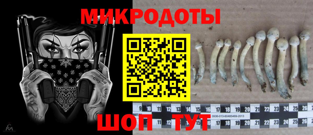 Галлюциногенные грибы мухоморы  Вход с VPN  Ржев 