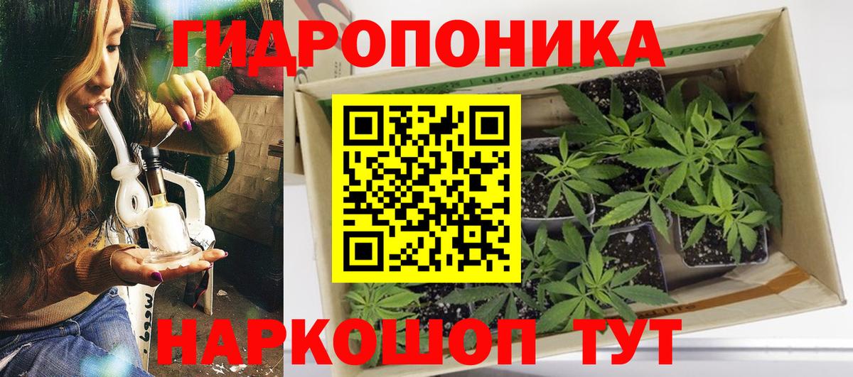 Бошки марихуана ГИДРОПОН  Канабис сатива  Шишки марихуана сатива  Ржев  Вход с VPN 